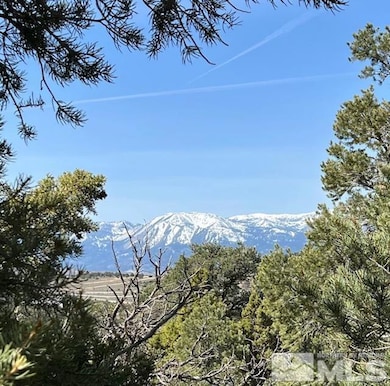 21455 Saddleback Rd, Reno, NV 89521 - photo 7