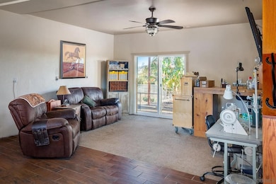 31141 Saddleback Rd, Valley Center, CA 92082 - photo 3