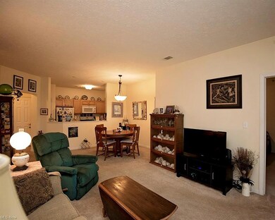 702 Aqua Marine Blvd unit 21, Avon Lake, OH 44012 - photo 6