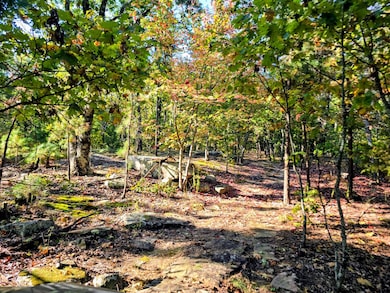 88 Buffalo Mtn Rd, Talihina, OK 74571 - photo 3