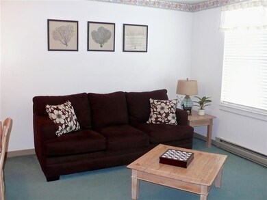 28 Packards Rd unit 320, Waterville Valley, NH 03215 - photo 4