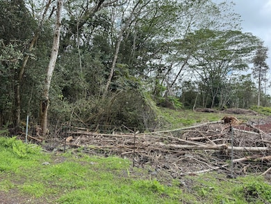 14-657 Kapuna Rd, Nanawale Estates, HI 96778 - photo 6