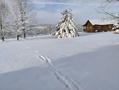 25005 Norhardt Ave, Ontario, WI 54651 - photo 4