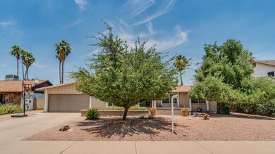 4626 E Paradise Ln-2