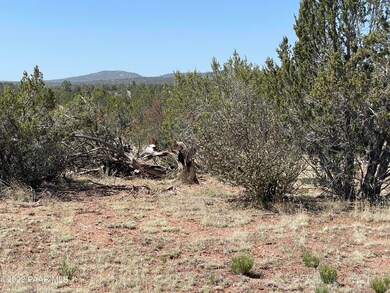 31767 W Rancho Vista Ln, Seligman, AZ 86337 - photo 4