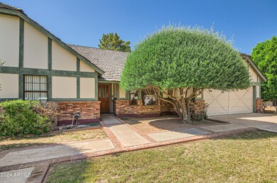 1951 E Enrose St, Mesa, AZ 85203 - photo 4