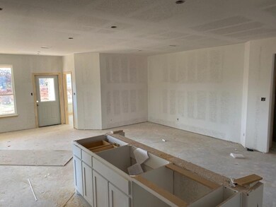 801 Holbrook Rd, Springtown, TX 76082 - photo 4