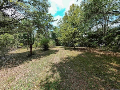 24221 Joe May Rd, Denham Springs, LA 70726 - photo 4