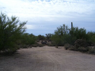 Lot 216-67-026 Looking South