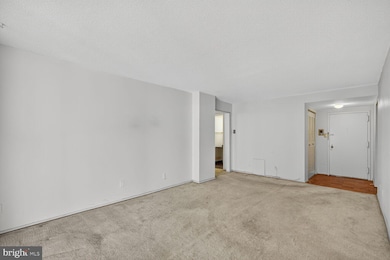 4 Monroe St unit 409, Rockville, MD 20850 - photo 6