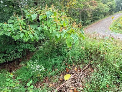 Lot 192 Clinch View Rd, New Tazewell, TN 37825 - photo 7