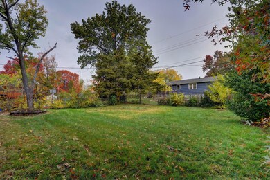 Backyard (2)