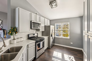 2227 Waterleaf Ct unit 203, Naperville, IL 60564 - photo 7