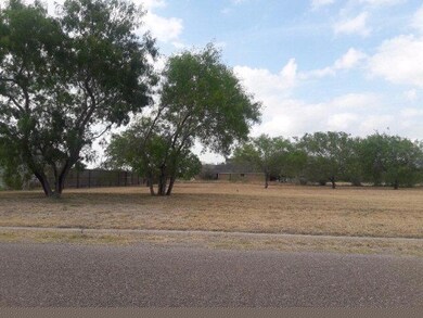 1709 Leanne Ln, Donna, TX 78537 - photo 4