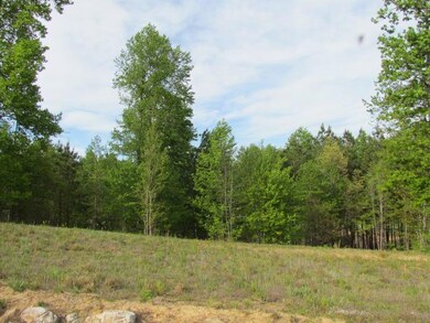 0 Lot #165 Lookout View Dr, Jasper, TN 37347 - photo 6