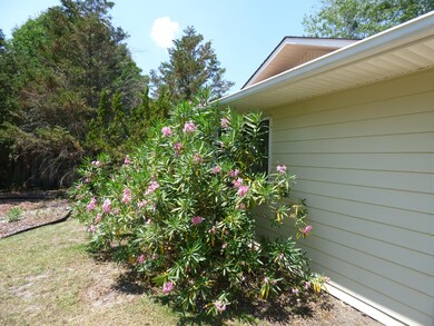 beautiful landscaping