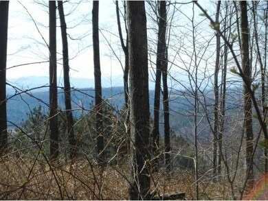 910 Southview Dr, Richmond, VT 05477 - photo 2