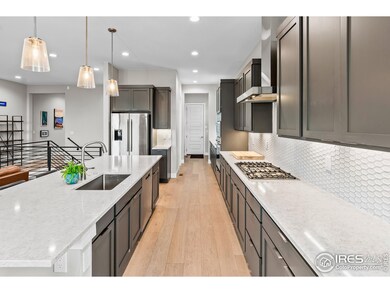 1869 Blossom Grove Dr, Windsor, CO 80550 - photo 7