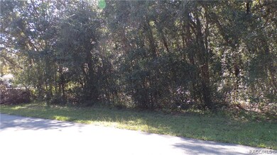 unlisted-address, Hernando, FL 34442 - photo 6