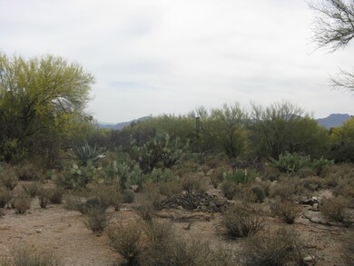Last panoramic pic of Catalina's