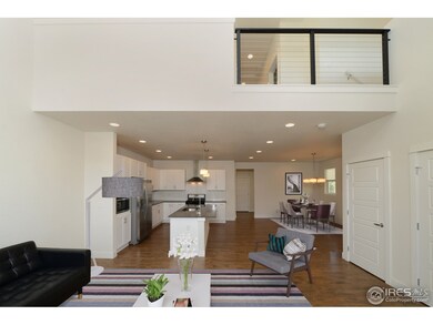 503 Cajetan St, Fort Collins, CO 80524 - photo 5