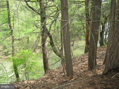 0 Bass Ln unit 1003509136, Winchester, VA 22603 - photo 6