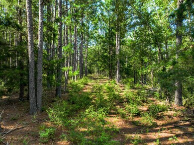 12.5+/- acres Zell Ready Rd, Andalusia, AL 36421 - photo 7