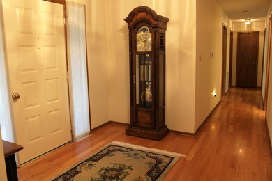 Spacious Entry