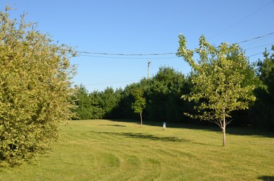 DSC_3873