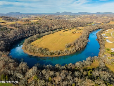 598 Horse Shoe Bend Rd, Blaine, TN 37709 - photo 5