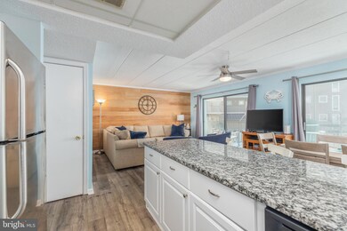 Bay Princess unit 204, Ocean City, MD 21842 - photo 6