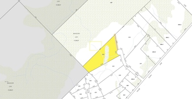 Lot 13 Tripp Dr, Bangor, ME 04401 - photo 3