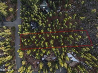 1385 Austrian Pine Rd, Reno, NV 89511 - photo 6