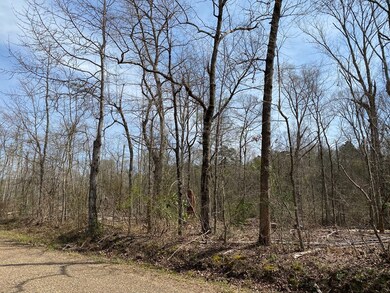 N/A D P Guy Rd, Ruth, MS 39662 - photo 7