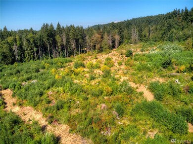 0 256th St E, Graham, WA 98338 - photo 6