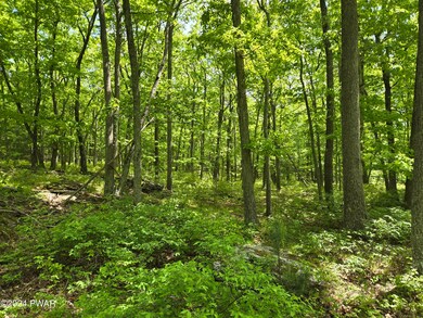 0 Blue Heron Way unit PWBPW241477, Pike County, PA 18428 - photo 6