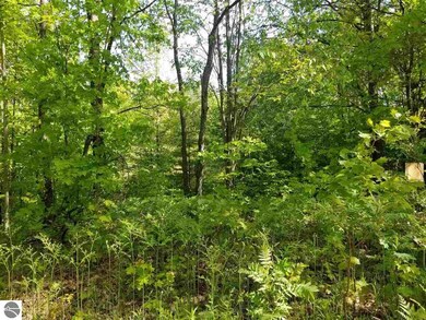 Lot 78 Fence Row Cir, Leroy, MI 49655 - photo 6