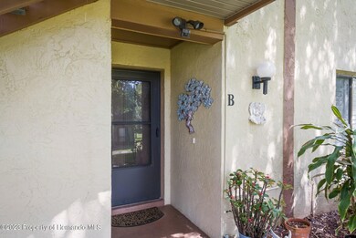 38-web-or-mls-DSC04355