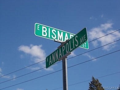 813 E Bismark St, Hernando, FL 34442 - photo 5