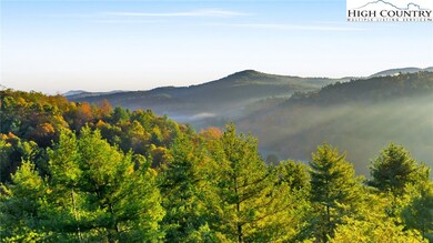 18 Davis Acres Dr, West Jefferson, NC 28694 - photo 6