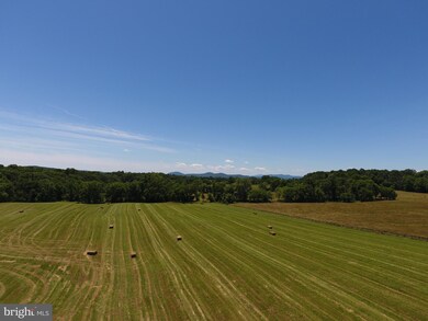 8101 Old Carters Mill Rd, Marshall, VA 20115 - photo 4