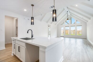 27127 Coneflower Daisy Way, Hockley, TX 77447 - photo 7