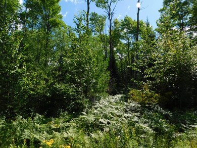 Lot 2 Sanctuary Rd, Tomahawk, WI 54487 - photo 5