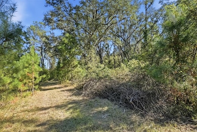 0 SW Paradise Way unit MFRTB8442555, Greenville, FL 32331 - photo 4