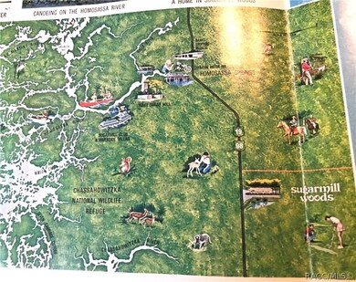 54 Cypress Blvd E, Sugarmill Woods, FL 34446 - photo 7