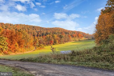 554 Hope Rd, New Bloomfield, PA 17068 - photo 4