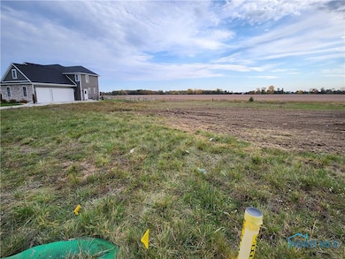 25216 John F McCarthy Way, Perrysburg, OH 43551 - photo 3