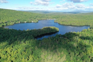 0 Edgemont Rd unit 44, Sunapee, NH 03782 - photo 7