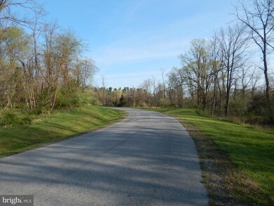 166 Shveda Way, Shepherdstown, WV 25443 - photo 3