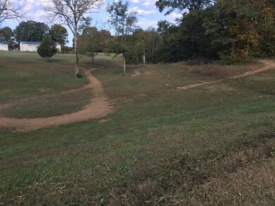 131 Temple Ford Rd, Shelbyville, TN 37160 - photo 2